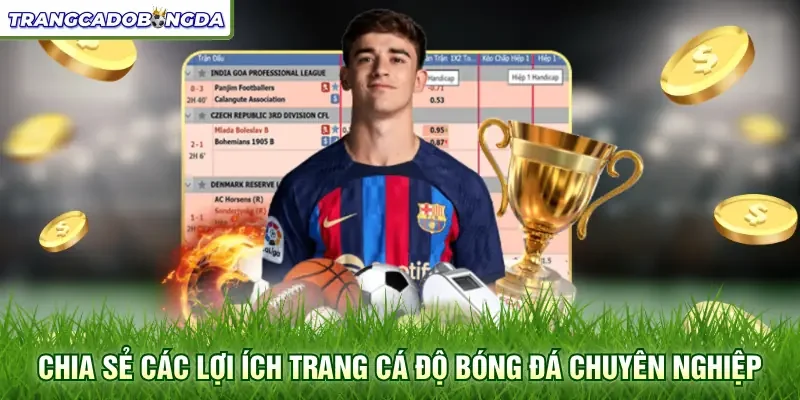 Chia sẻ các lợi ích trang cá độ bóng đá chuyên nghiệp