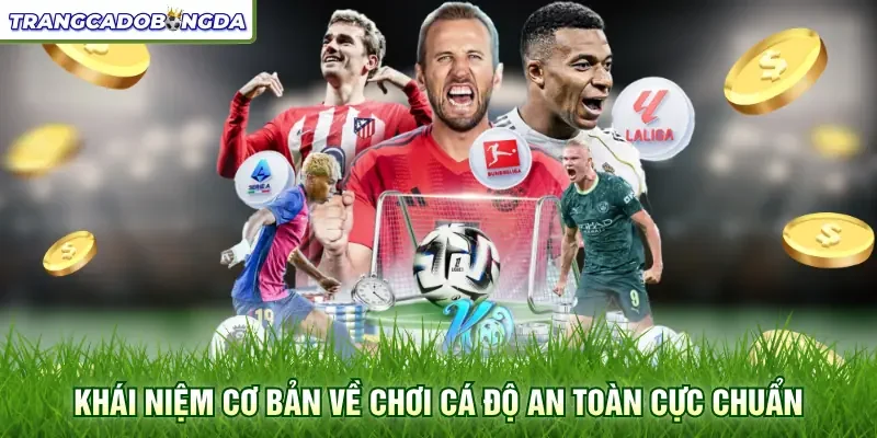 Khái niệm cơ bản về chơi cá độ an toàn cực chuẩn
