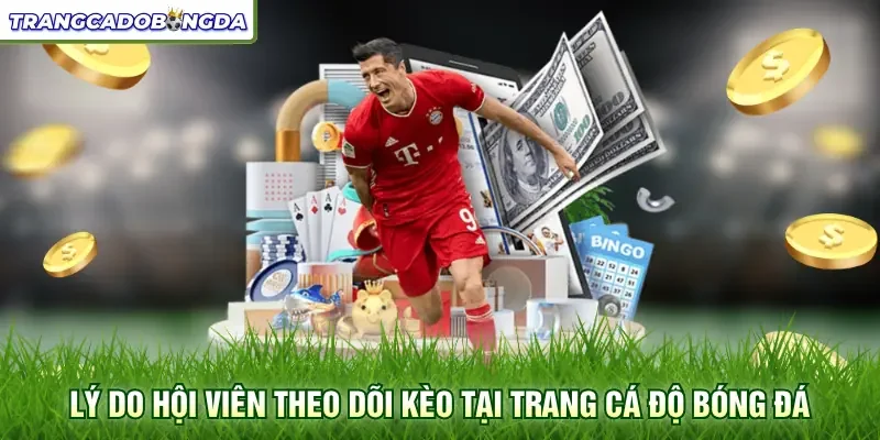Lý do hội viên theo dõi kèo tại trang cá độ bóng đá