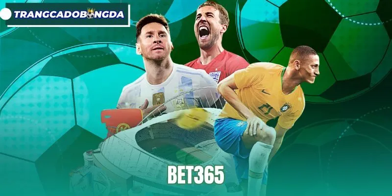 Bet365 - Hồ Sơ Doanh Nghiệp Pháp Lý Và Dịch Vụ Quốc Tế