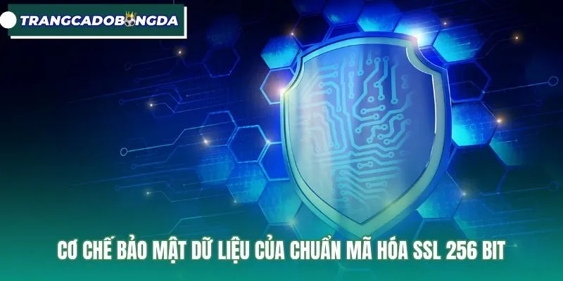 co-che-bao-mat-du-lieu-cua-chuan-ma-hoa-ssl-256-bit Cơ chế bảo vệ đường truyền của giao thức ssl 256 bit