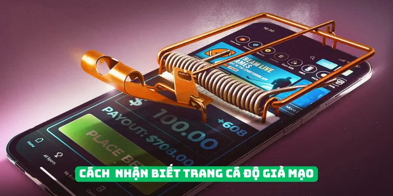 Nhận biết trang cá độ bóng đá giả mạo