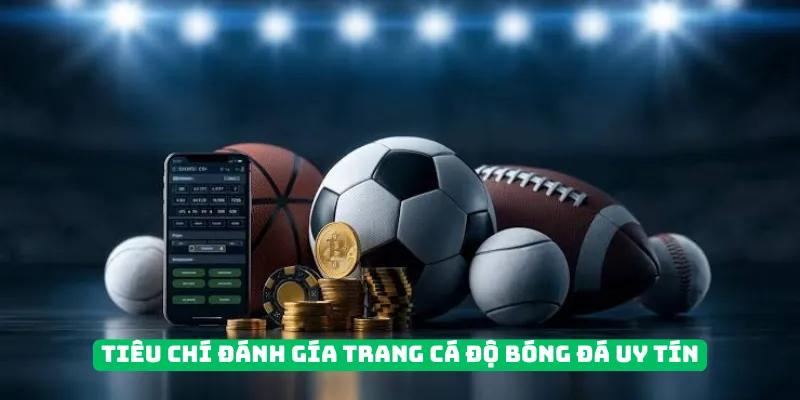 Bộ tiêu chí đánh giá trang cá độ bóng đá uy tín
